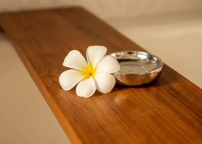 Villa Ando House Modern 2br Fast Wi-fi Private Pool Center Ubud